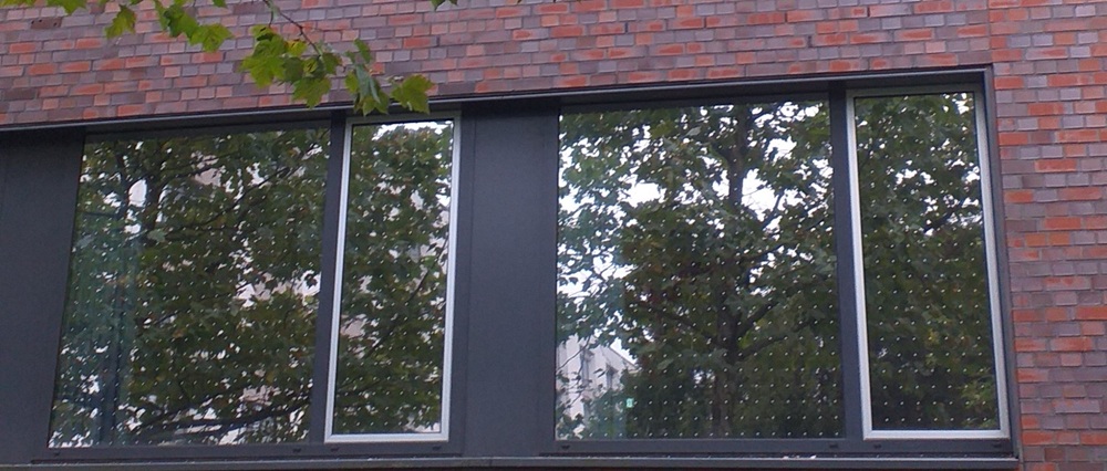 Vogelschutzpunkte_Fenster_0925