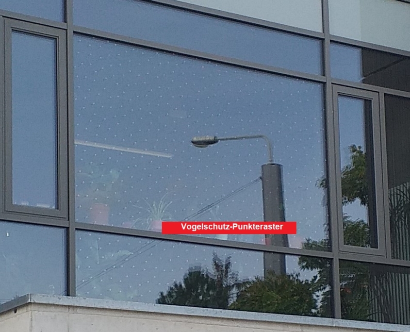Vogelschutz-Punkteraster